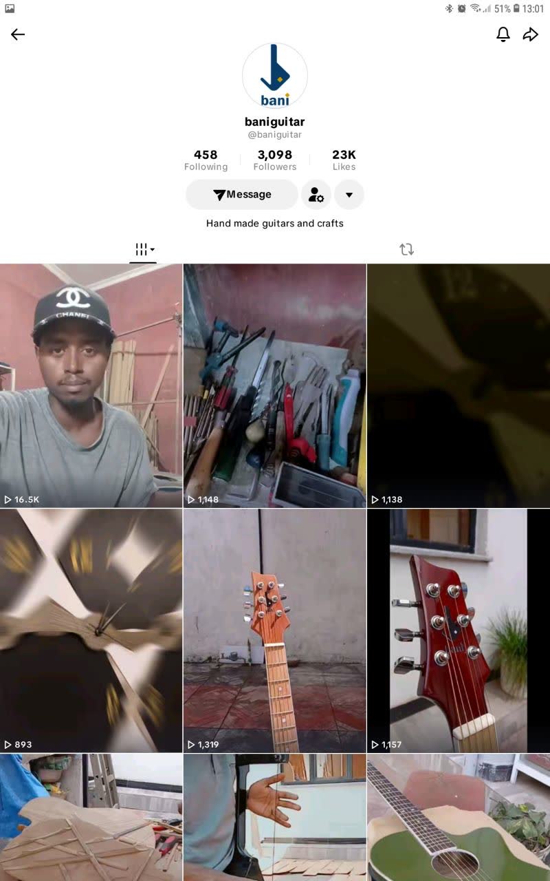Bani Guitar TikTok profile